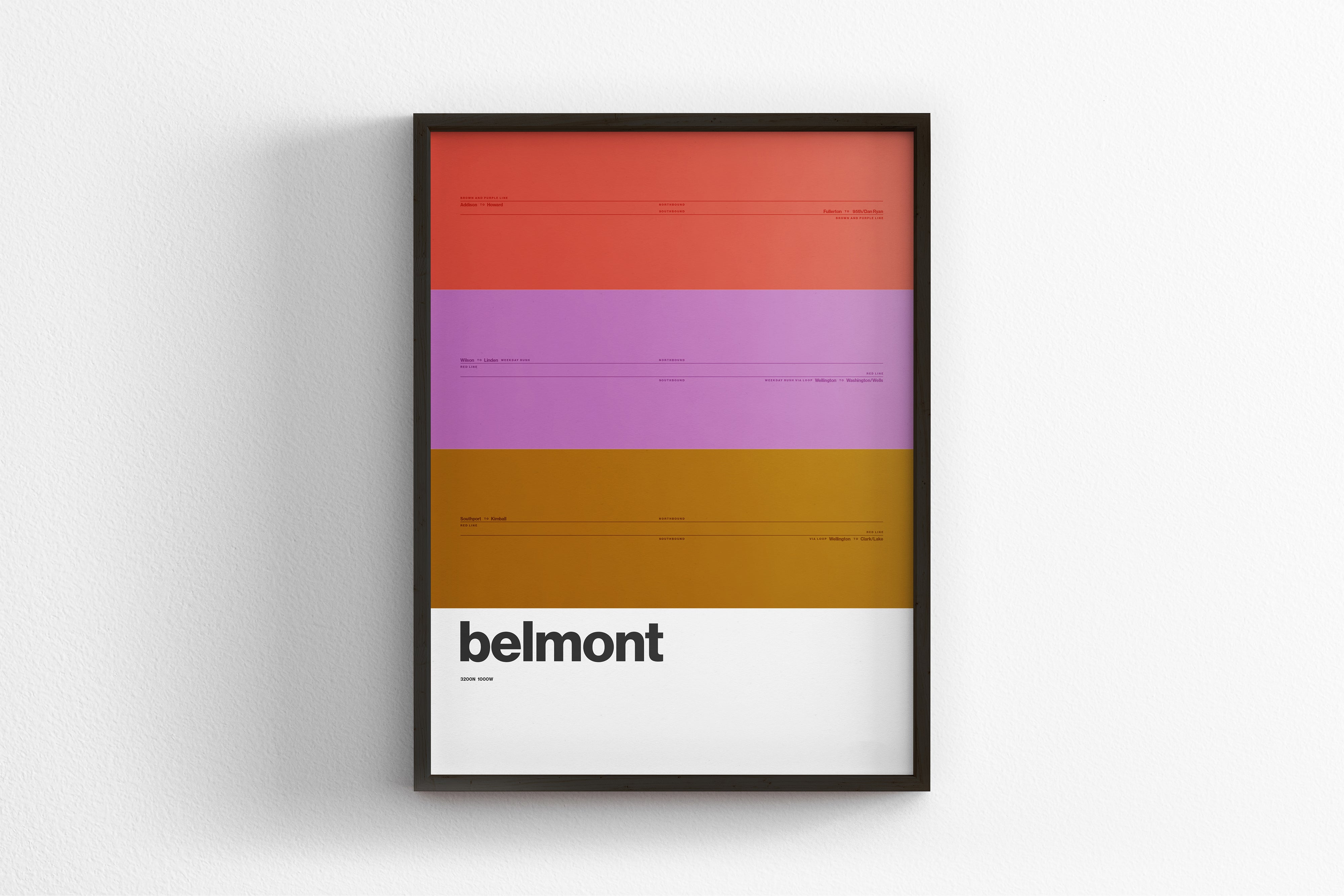 Belmont Station / Chicago L