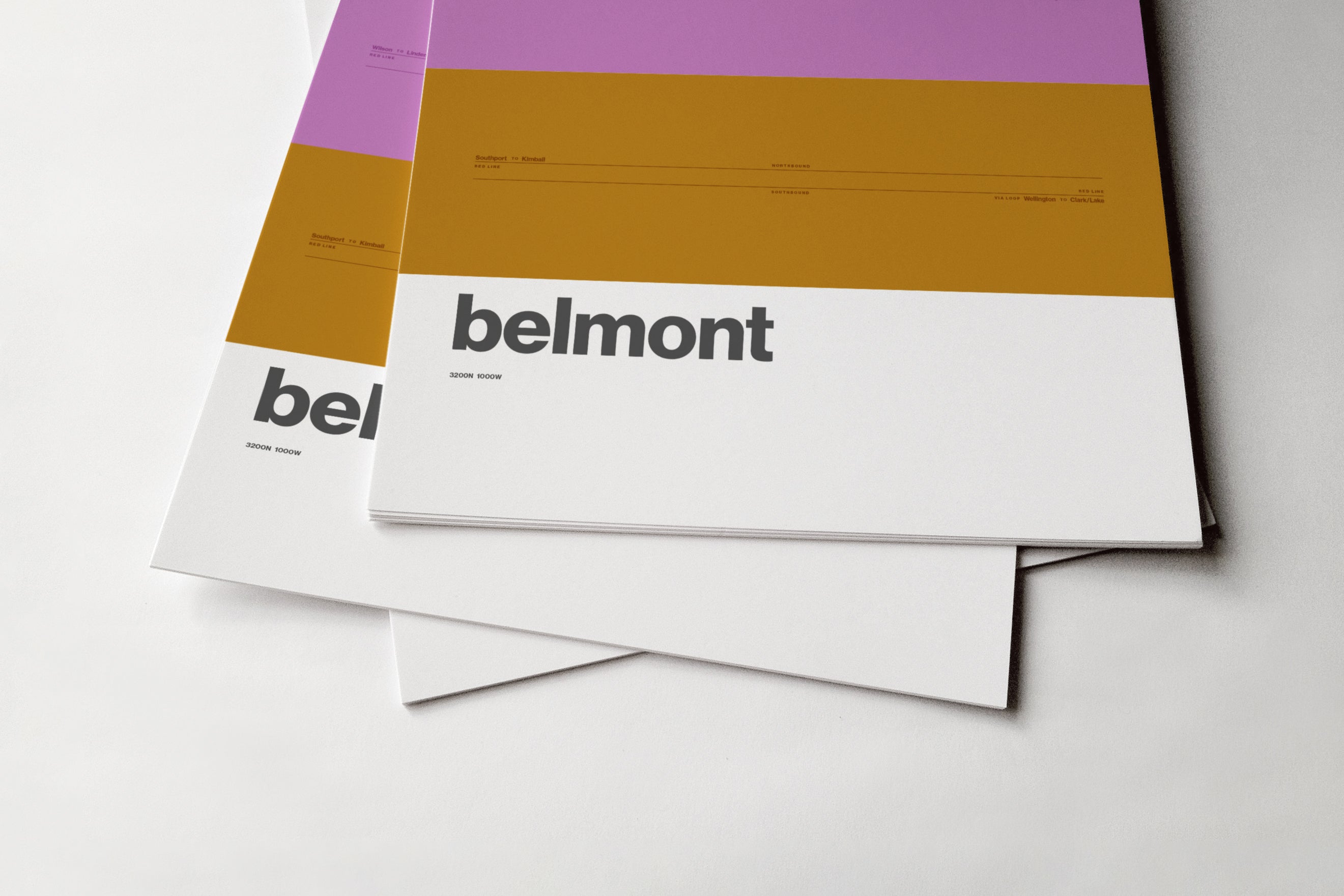 Belmont Station / Chicago L