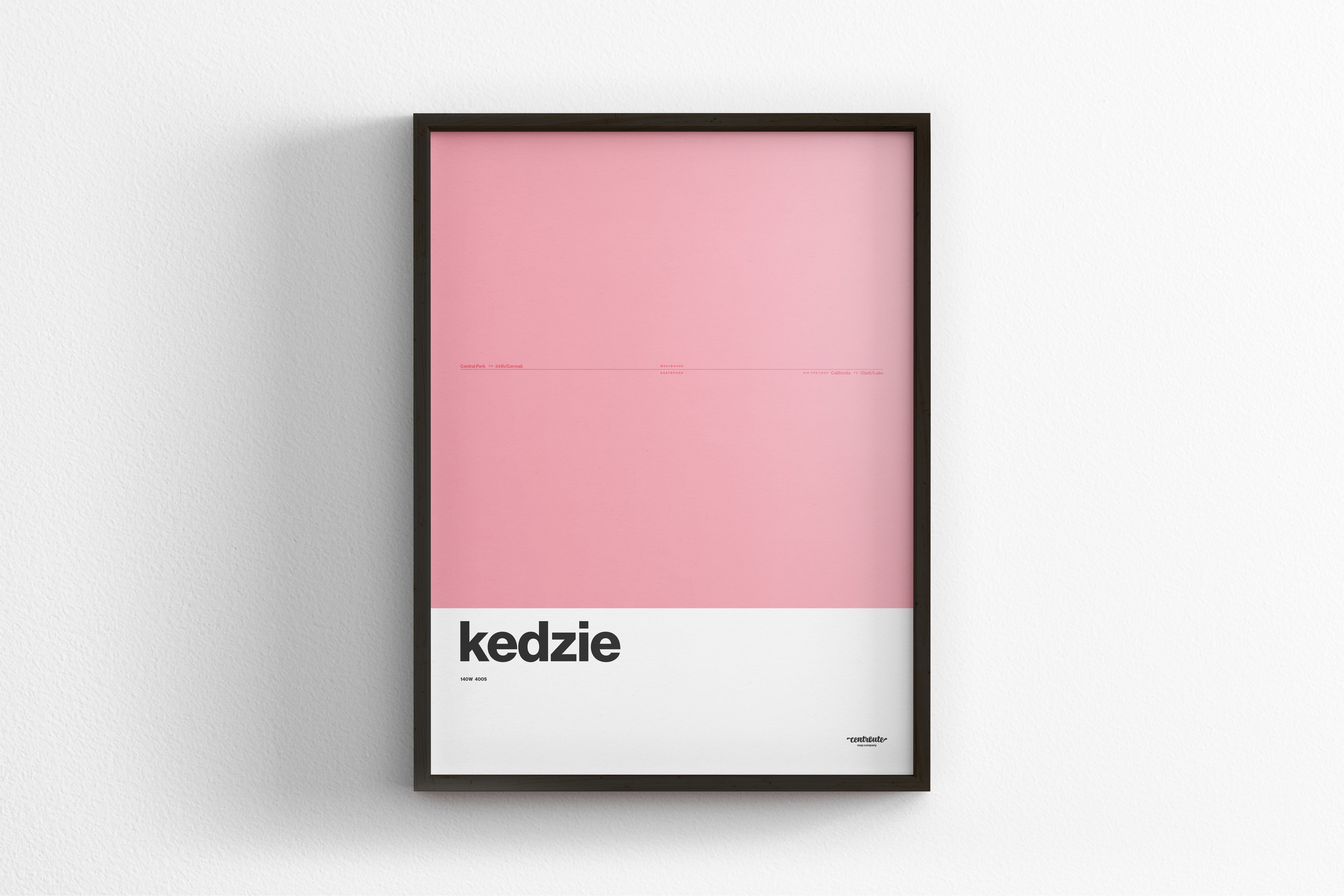 Kedzie Station Pink Line / Chicago L