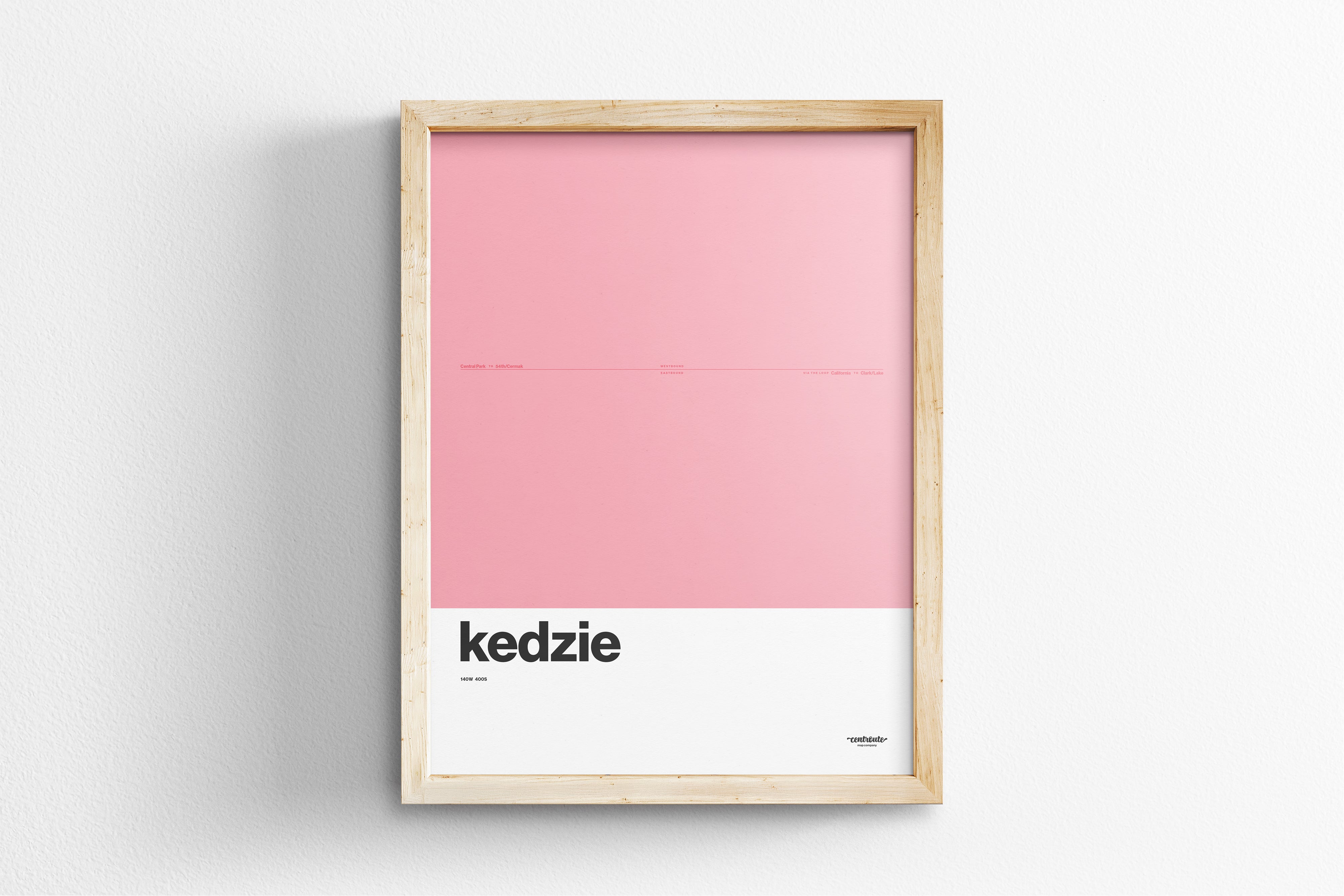Kedzie Station Pink Line / Chicago L