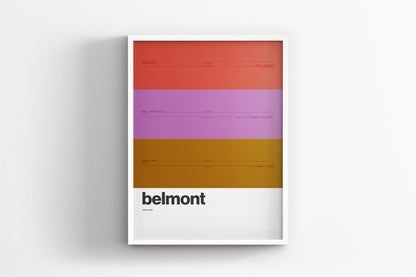 Belmont Station / Chicago L