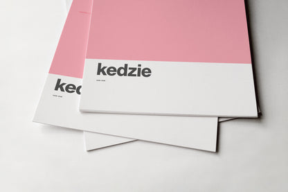Kedzie Station Pink Line / Chicago L