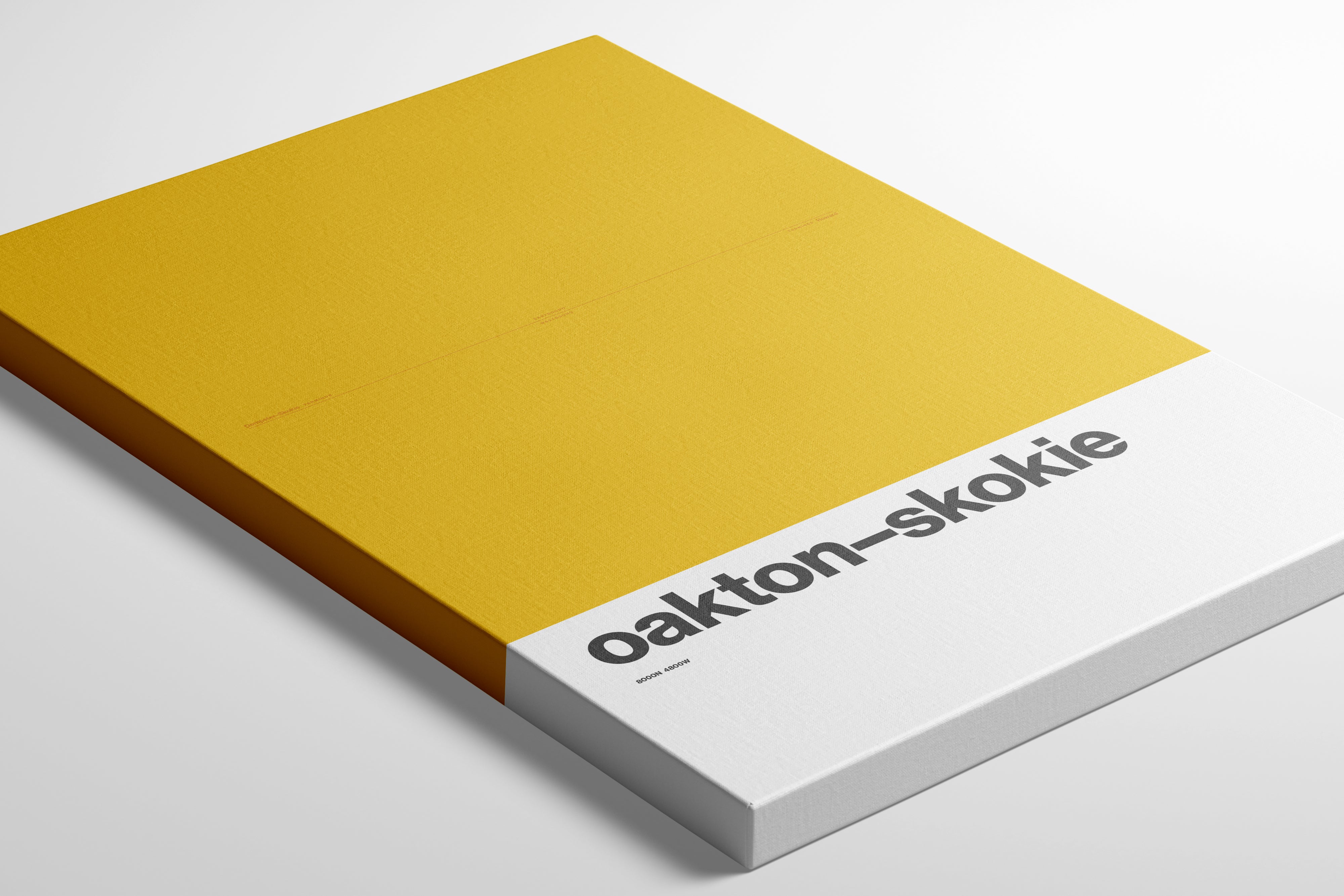 Oakton–Skokie Station / Chicago L