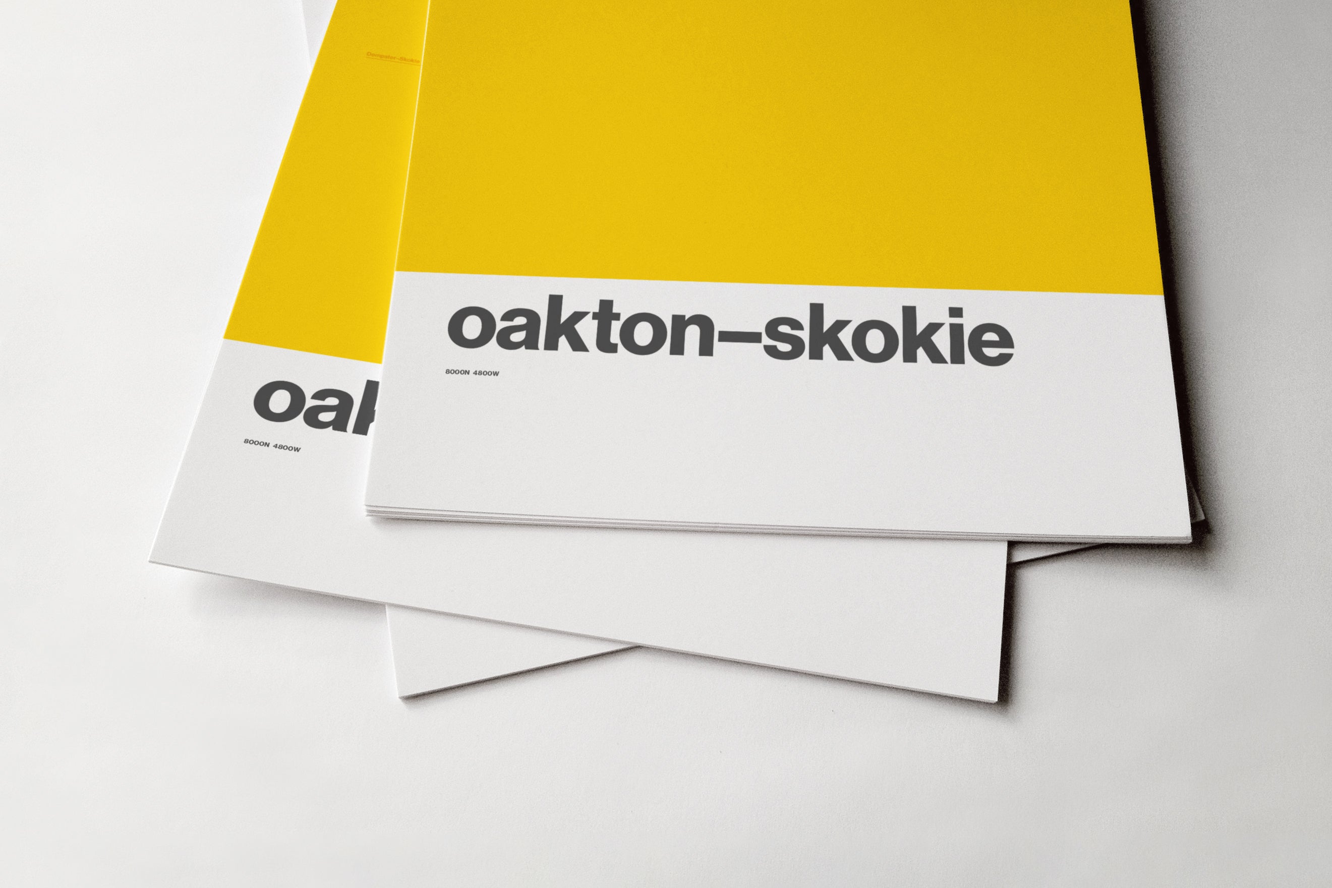 Oakton–Skokie Station / Chicago L