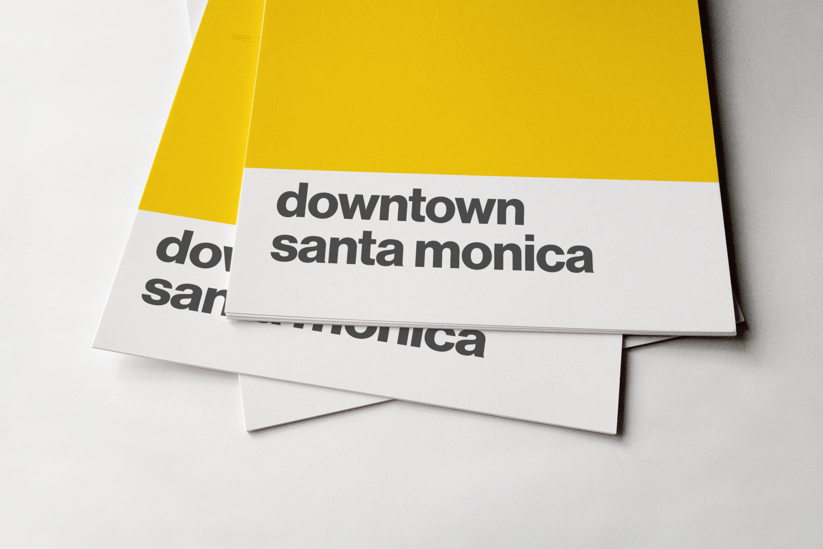 Downtown Santa Monica Station / LA Metro